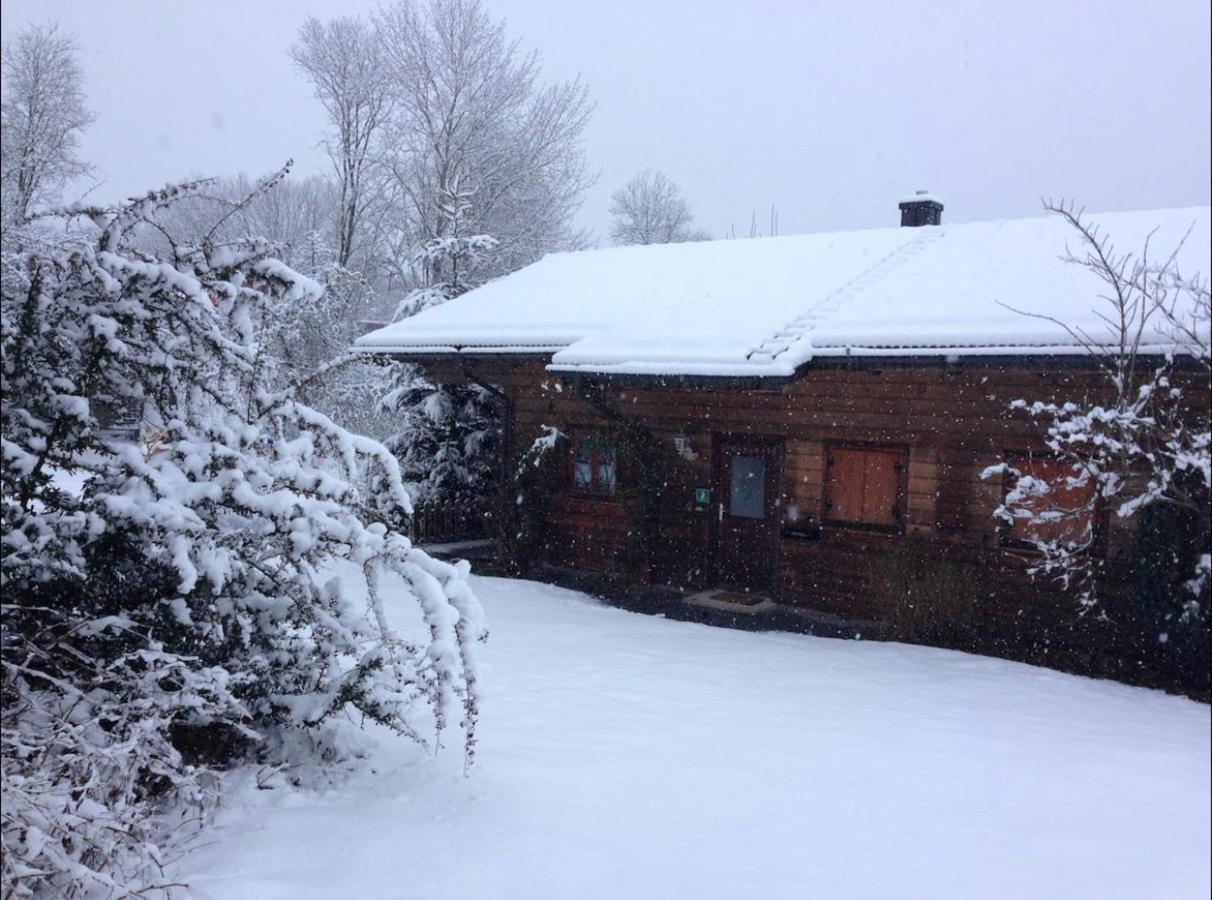 Ferienhaus Schlagintweit Drachselsried Exterior foto
