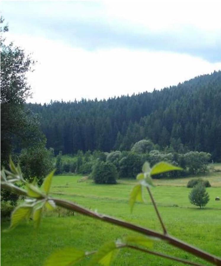Ferienhaus Schlagintweit Drachselsried Exterior foto